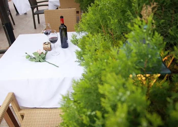 Sany מלון פרימורסקו