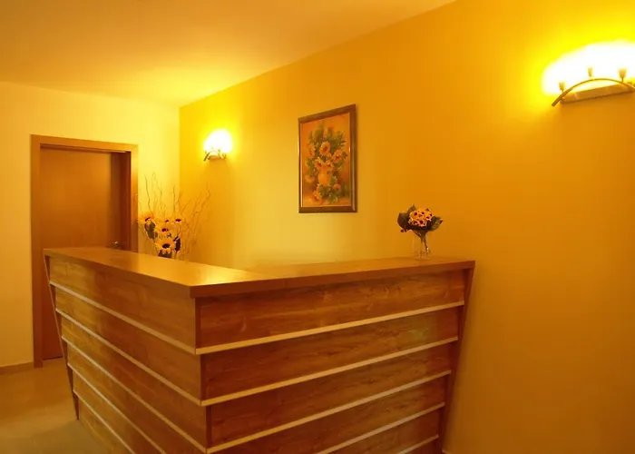 Sany Πριμόρσκο