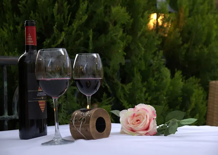 Ξενοδοχείο Sany